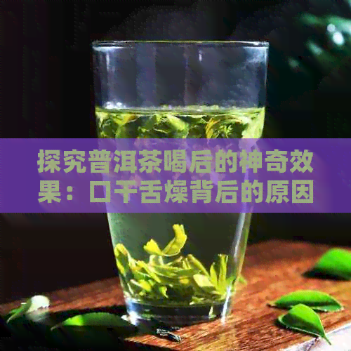 探究普洱茶喝后的神奇效果：口干舌燥背后的原因与解决方案