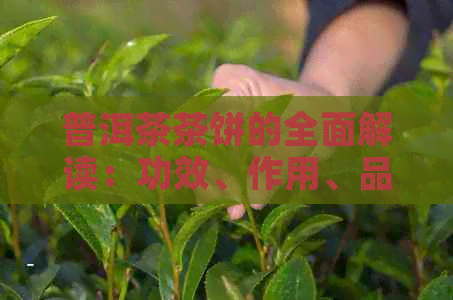 普洱茶茶饼的全面解读：功效、作用、品饮方法与禁忌，让你喝出健与美味