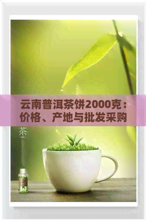 云南普洱茶饼2000克：价格、产地与批发采购指南