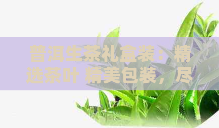 普洱生茶礼盒装：精选茶叶 精美包装，尽享品质生活