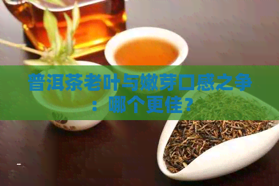 普洱茶老叶与嫩芽口感之争：哪个更佳？