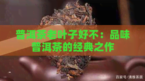 普洱茶老叶子好不：品味普洱茶的经典之作