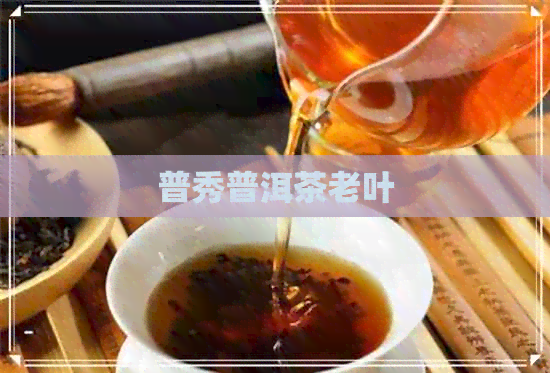 普秀普洱茶老叶