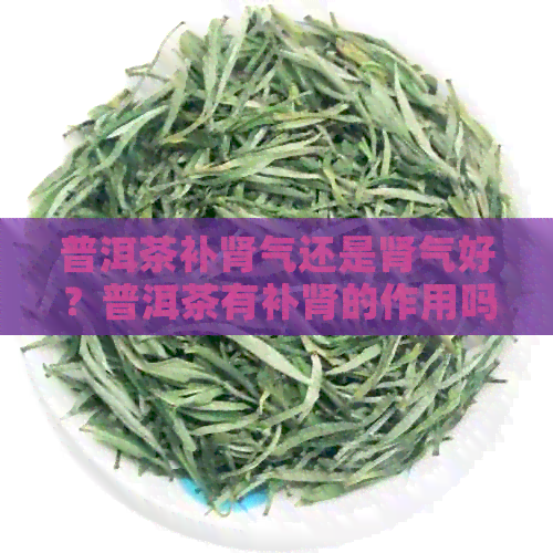 普洱茶补肾气还是肾气好？普洱茶有补肾的作用吗？