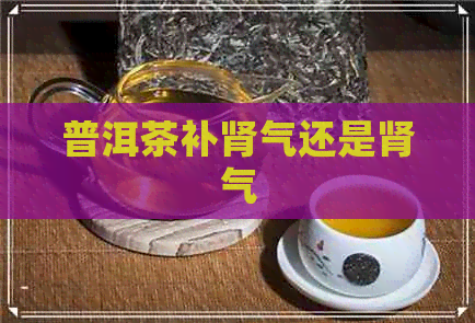 普洱茶补肾气还是肾气