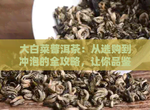 大白菜普洱茶：从选购到冲泡的全攻略，让你品鉴真正的茶香