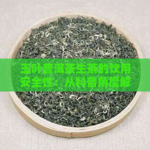 玉叶普洱茶生茶的饮用安全性：从科普角度解析