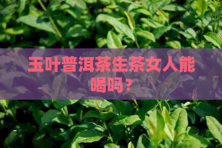 玉叶普洱茶生茶女人能喝吗？