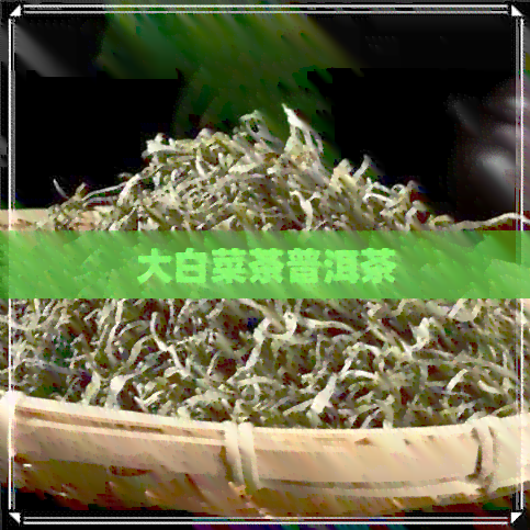 大白菜茶普洱茶