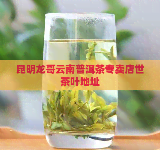 昆明龙哥云南普洱茶专卖店世茶叶地址