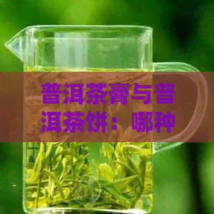 普洱茶膏与普洱茶饼：哪种更适合你？对比两者的特点和适用场景