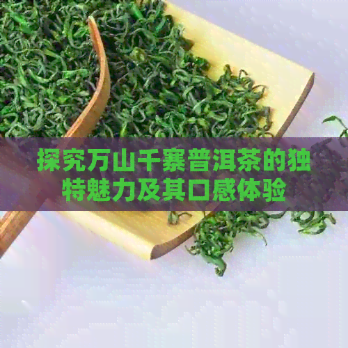 探究万山千寨普洱茶的独特魅力及其口感体验