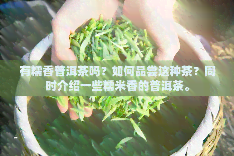 有糯香普洱茶吗？如何品尝这种茶？同时介绍一些糯米香的普洱茶。