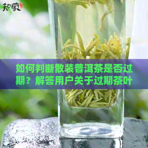 如何判断散装普洱茶是否过期？解答用户关于过期茶叶的全面搜索问题