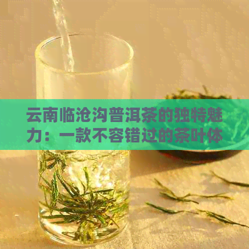 云南临沧沟普洱茶的独特魅力：一款不容错过的茶叶体验