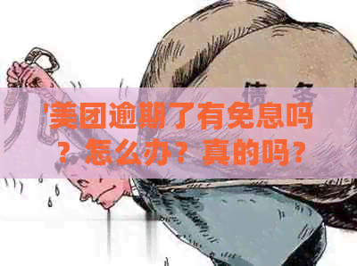 '美团逾期了有免息吗？怎么办？真的吗？怎么还款？宽限期有吗？'