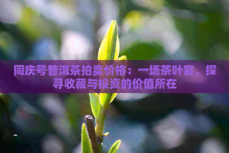 同庆号普洱茶拍卖价格：一场茶叶宴，探寻收藏与投资的价值所在