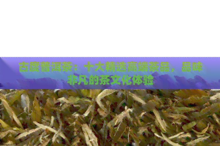 古度普洱茶：十大精选高端茶品，品味非凡的茶文化体验