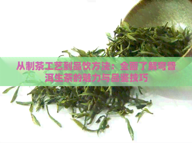 从制茶工艺到品饮方法：全面了解弯普洱生茶的魅力与品鉴技巧