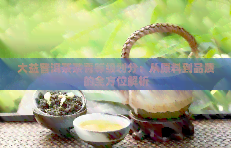 大益普洱茶茶青等级划分：从原料到品质的全方位解析