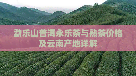 勐乐山普洱永乐茶与熟茶价格及云南产地详解