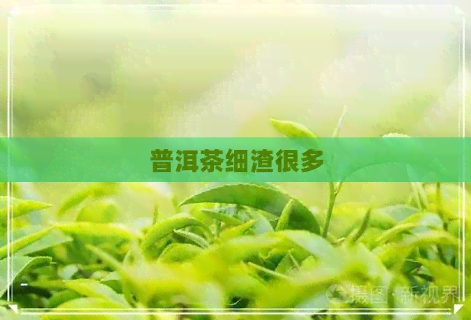 普洱茶细渣很多