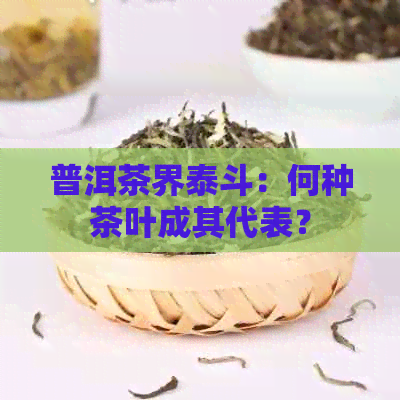 普洱茶界泰斗：何种茶叶成其代表？