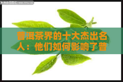 普洱茶界的十大杰出名人：他们如何影响了普洱茶的发展与传承