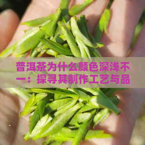 普洱茶为什么颜色深浅不一：探寻其制作工艺与品质关系