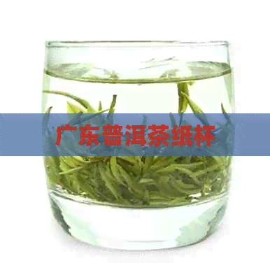 广东普洱茶纸杯