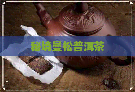 秘境曼松普洱茶