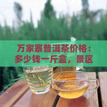 万家寨普洱茶价格：多少钱一斤盒，景区门票多少？