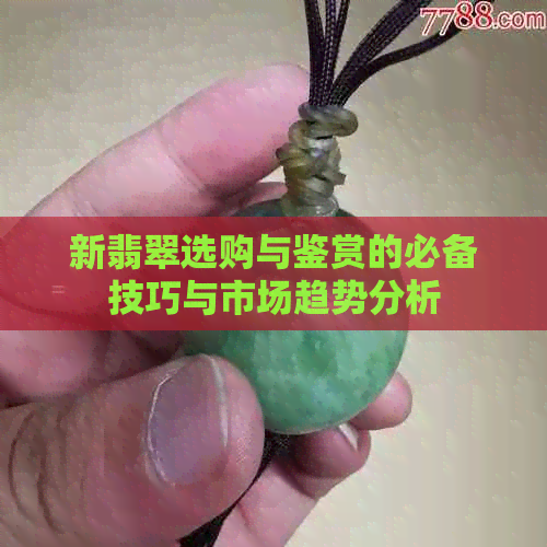 新翡翠选购与鉴赏的必备技巧与市场趋势分析