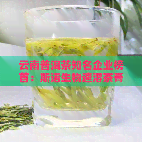 云南普洱茶知名企业榜首：斯诺生物速溶茶膏大厂