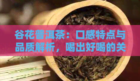 谷花普洱茶：口感特点与品质解析，喝出好喝的关键！