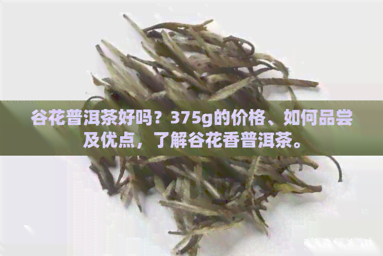 谷花普洱茶好吗？375g的价格、如何品尝及优点，了解谷花香普洱茶。