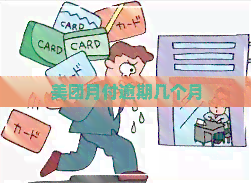 美团月付逾期几个月