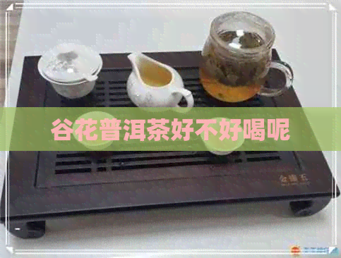 谷花普洱茶好不好喝呢