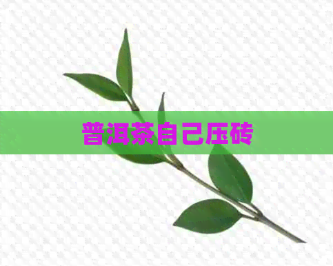 普洱茶自己压砖