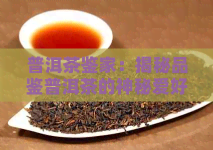 普洱茶鉴家：揭秘品鉴普洱茶的神秘爱好者性格特征