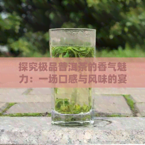 探究极品普洱茶的香气魅力：一场口感与风味的宴