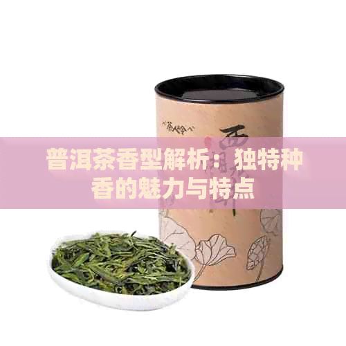 普洱茶香型解析：独特种香的魅力与特点