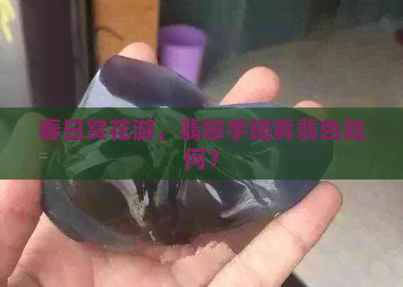 春日赏花游，翡翠手镯黄翡色如何？