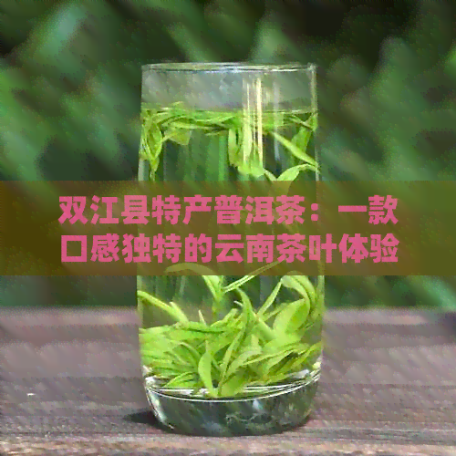 双江县特产普洱茶：一款口感独特的云南茶叶体验