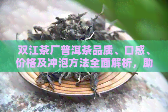 双江茶厂普洱茶品质、口感、价格及冲泡方法全面解析，助你轻松选购与品鉴