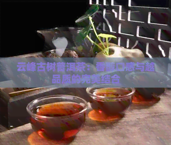 云峰古树普洱茶：香醇口感与越品质的完美结合