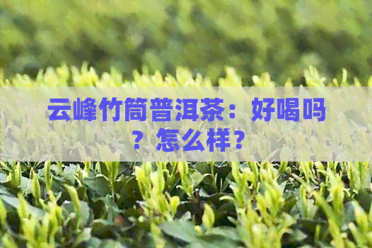 云峰竹筒普洱茶：好喝吗？怎么样？