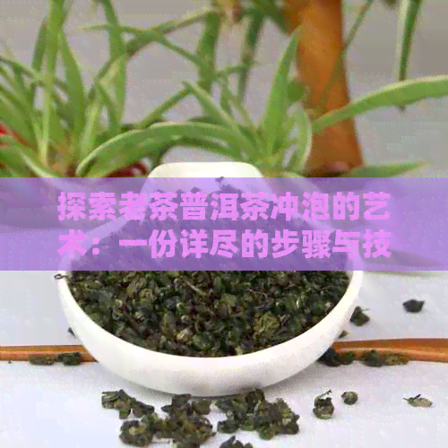 探索老茶普洱茶冲泡的艺术：一份详尽的步骤与技巧指南