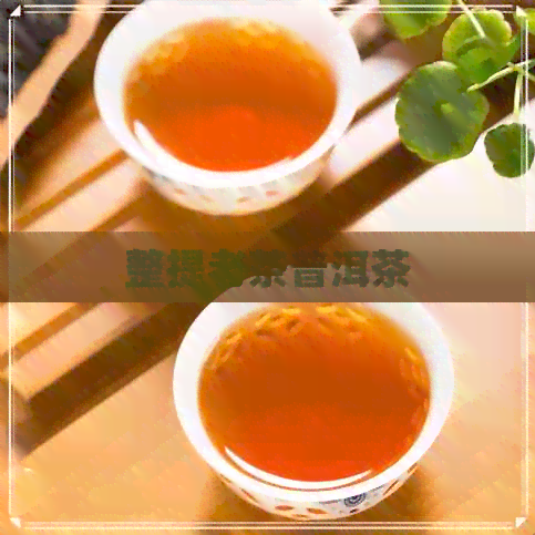 整提老茶普洱茶