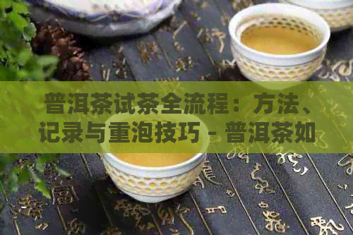 普洱茶试茶全流程：方法、记录与重泡技巧 - 普洱茶如何试制？